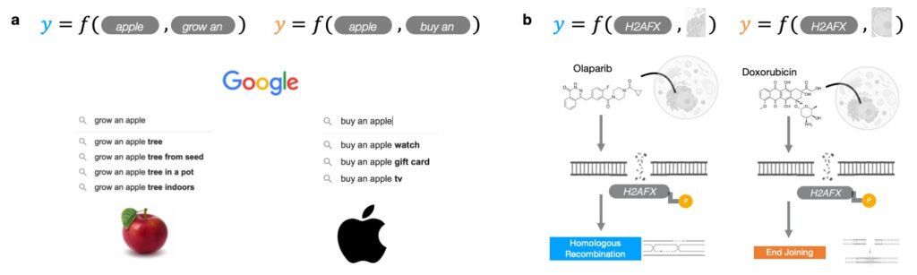 context free in research