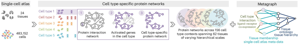 research study on biology