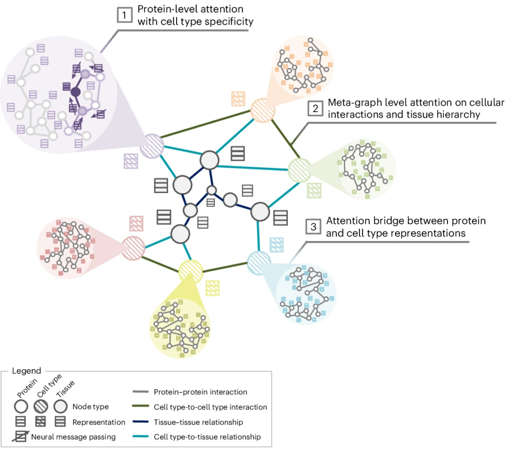 research study on biology