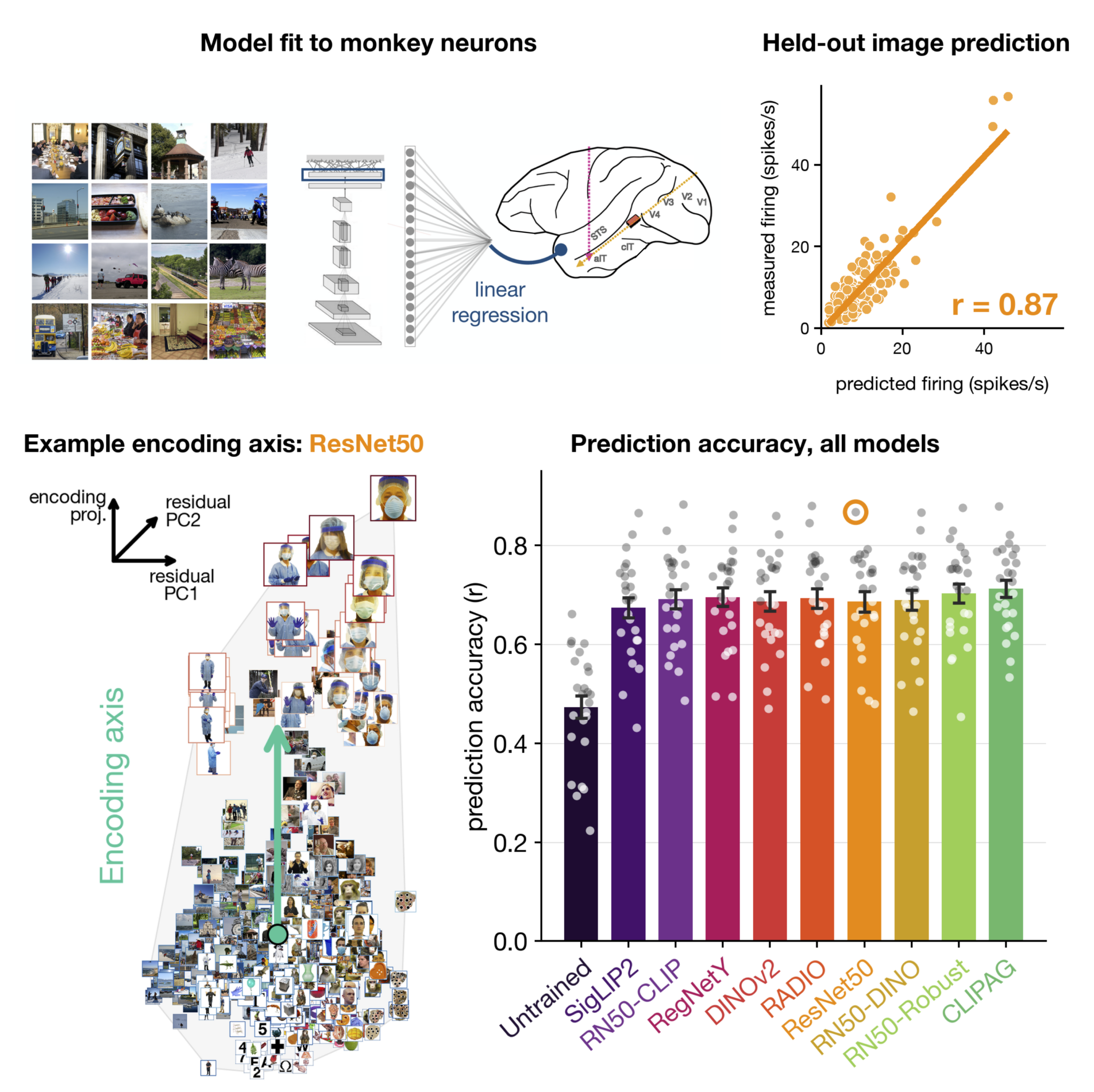 Parametric neural control differentiates top neural network models of ...